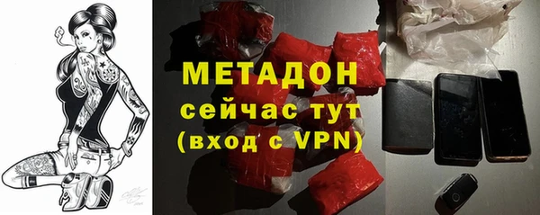 прущие грибы Бородино