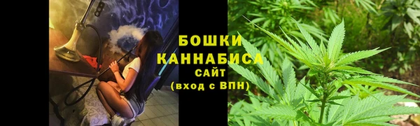прущие грибы Бородино
