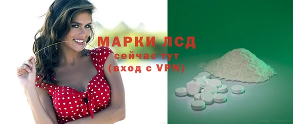 прущие грибы Бородино