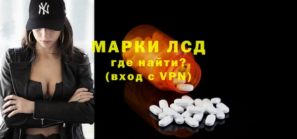 прущие грибы Бородино