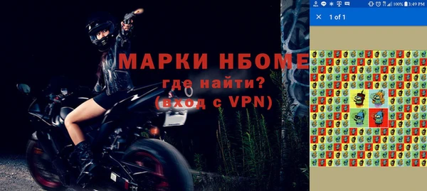 прущие грибы Бородино