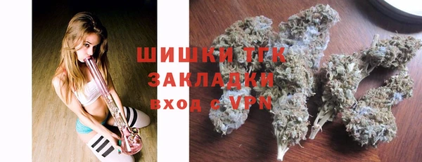 гидра Верхний Тагил