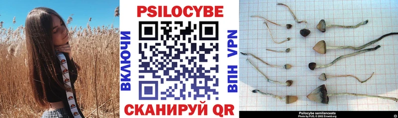 Псилоцибиновые грибы Cubensis  наркота  Можайск 