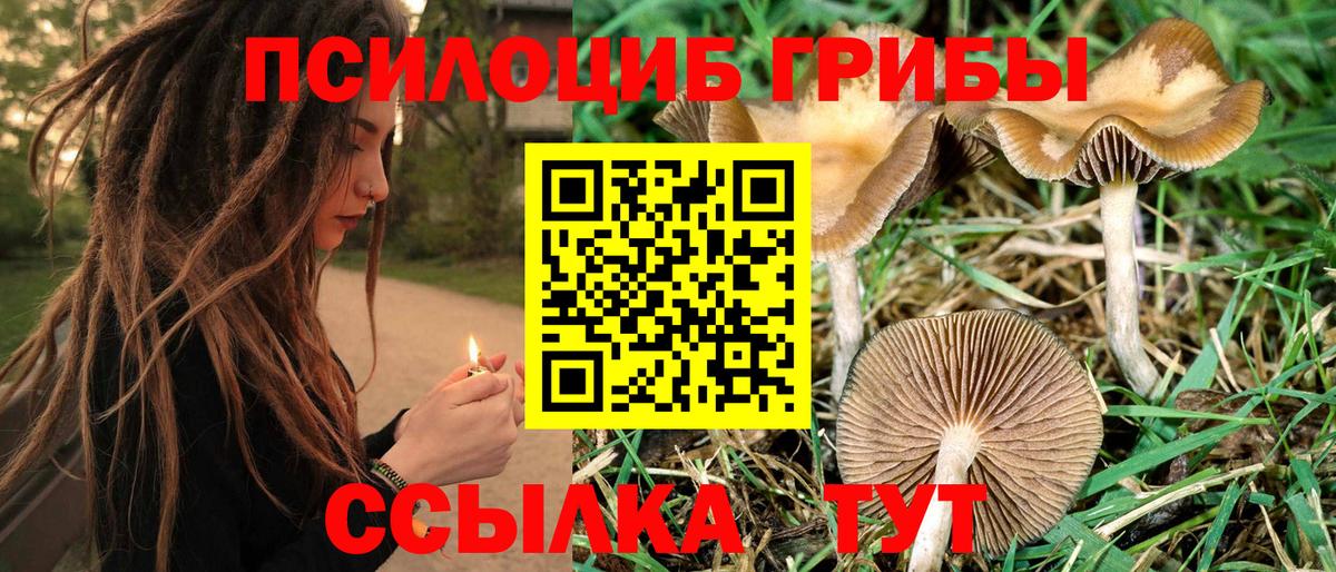 Псилоцибиновые грибы мицелий Можайск