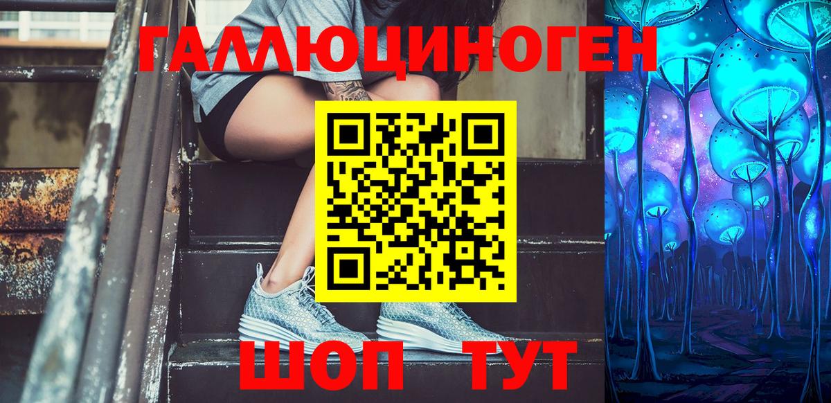 Псилоцибиновые грибы Psilocybine cubensis  Вход с VPN  Можайск 